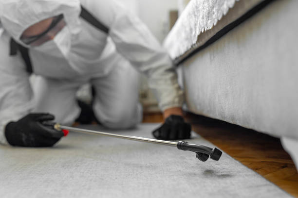 Professional Pest Control technician working in Wake County County, NC